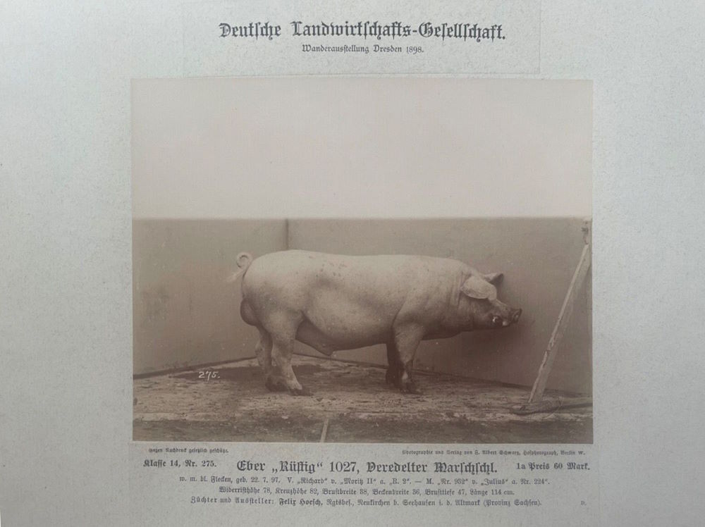 12. Wanderausstellung der deutschen Landwirtschaft 1898