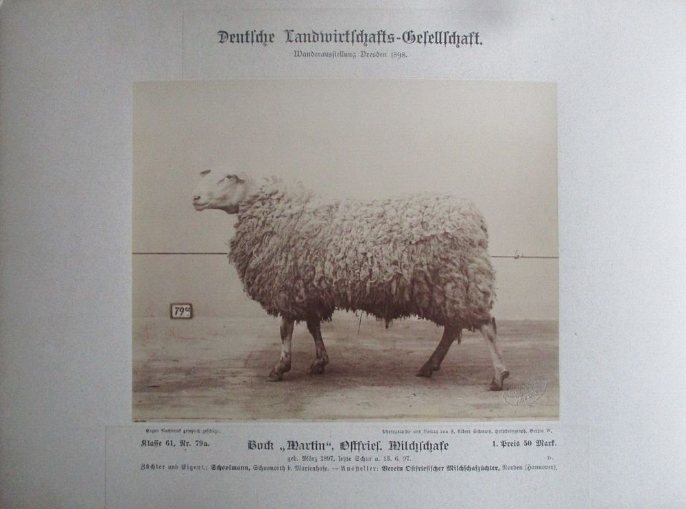 12. Wanderausstellung der deutschen Landwirtschaft 1898