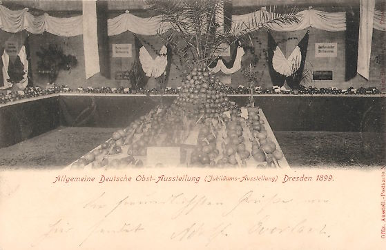 Allgemeine Deutsche Obst-Ausstellung 1899