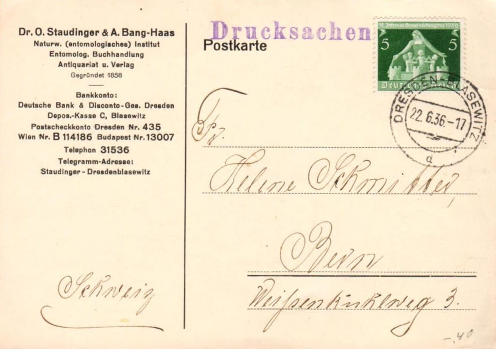 Loschwitzer Straße 13