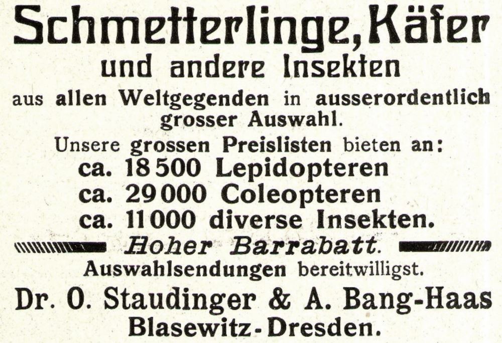 Loschwitzer Straße 13