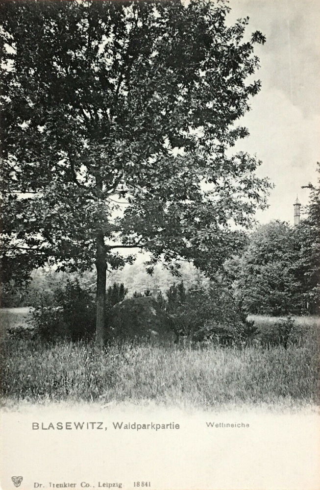 Waldpark