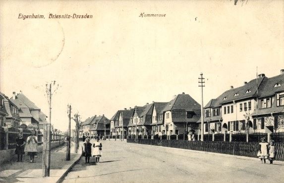 Hammeraue