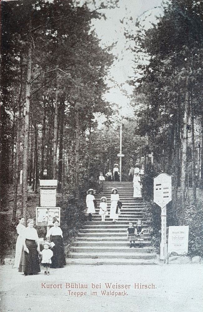 Nachtflügelweg