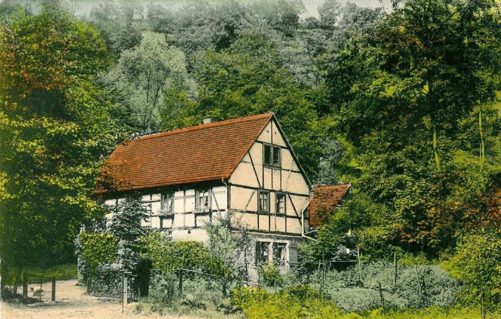 Wachwitzgrund 90