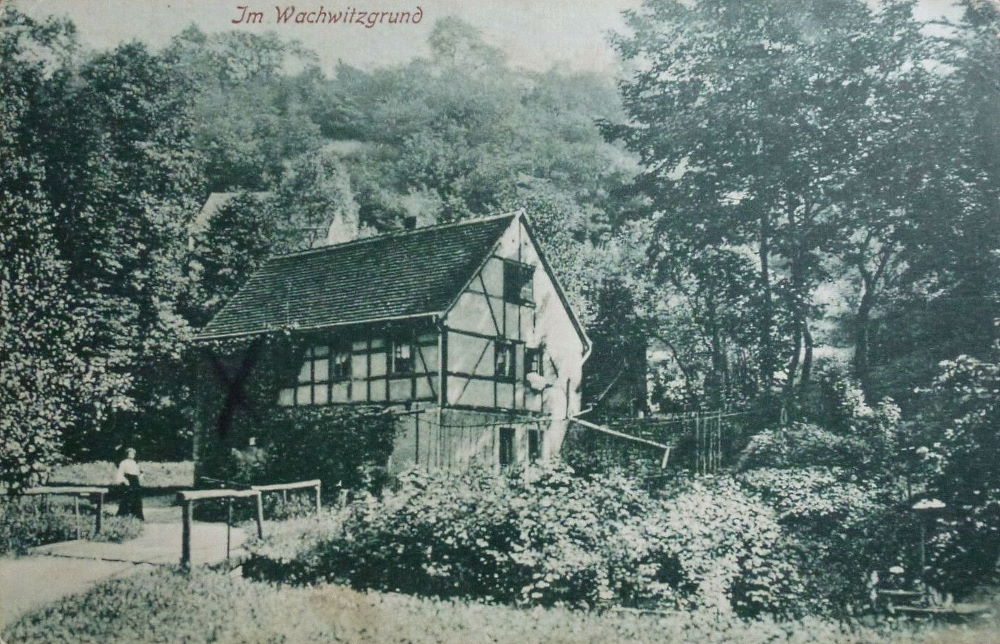 Wachwitzgrund 90