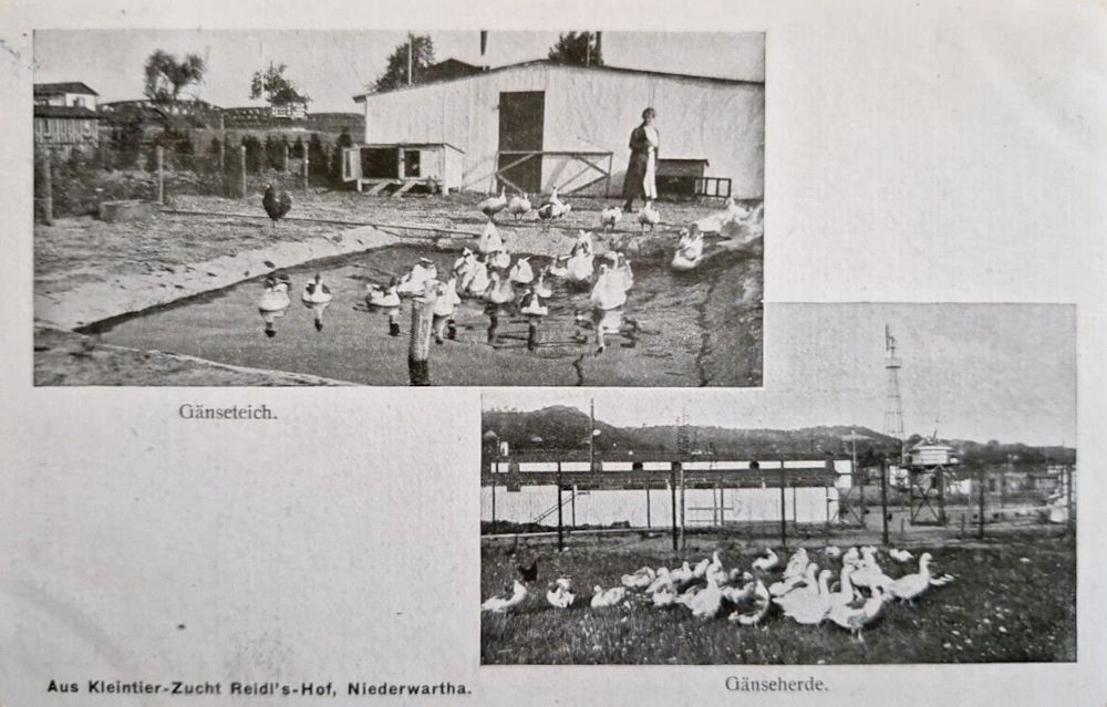 Am Fährhaus
