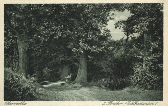 Fünf-Brüder-Weg