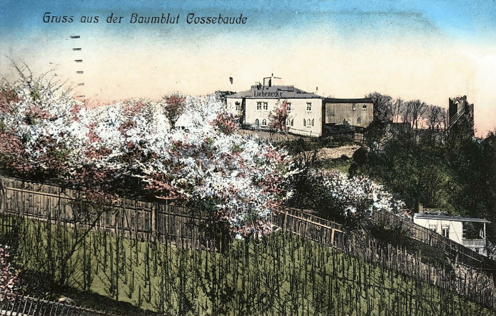 Krumme Gasse 7