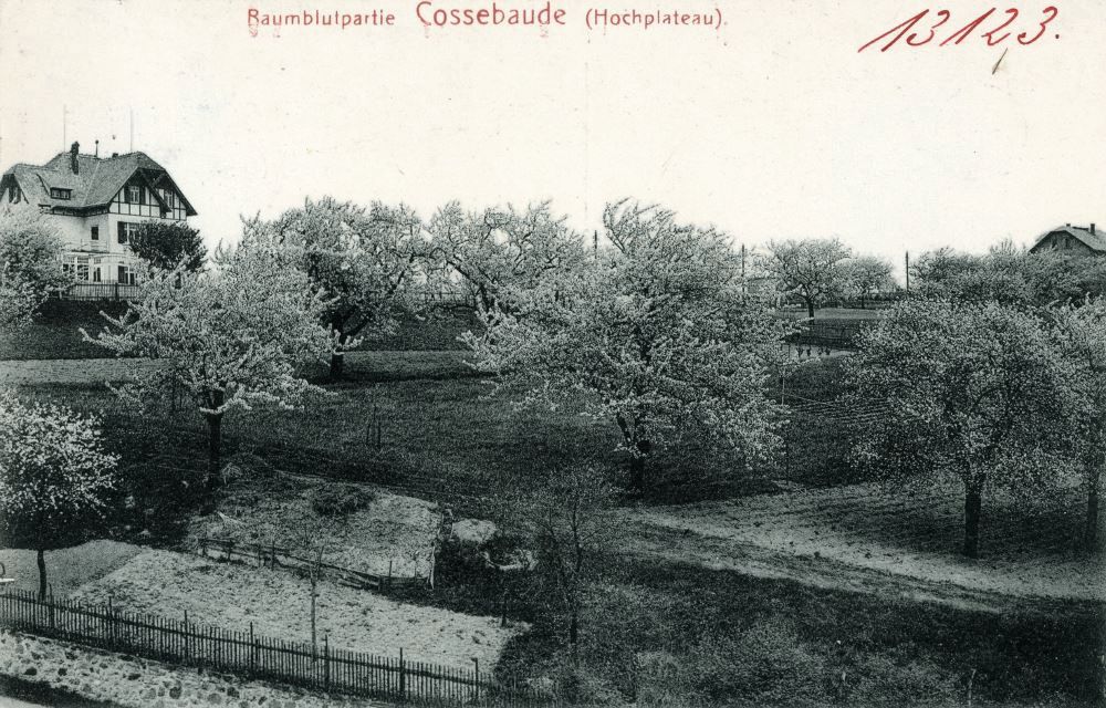 Liebknechtstraße 52
