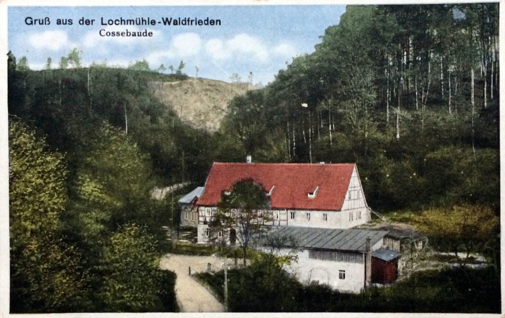 Lotzebachstraße 27