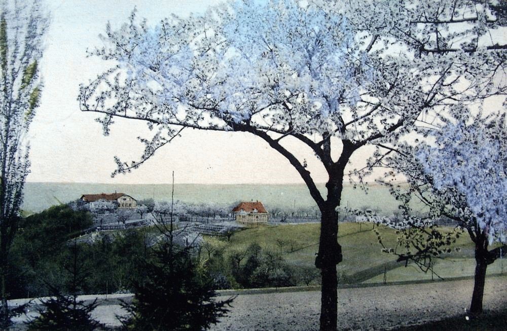 Parkweg 13