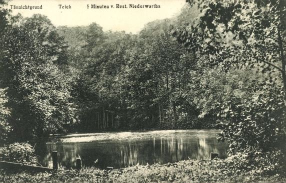 Tännichtgrundstraße