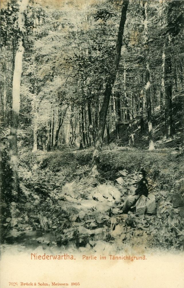 Tännichtgrund