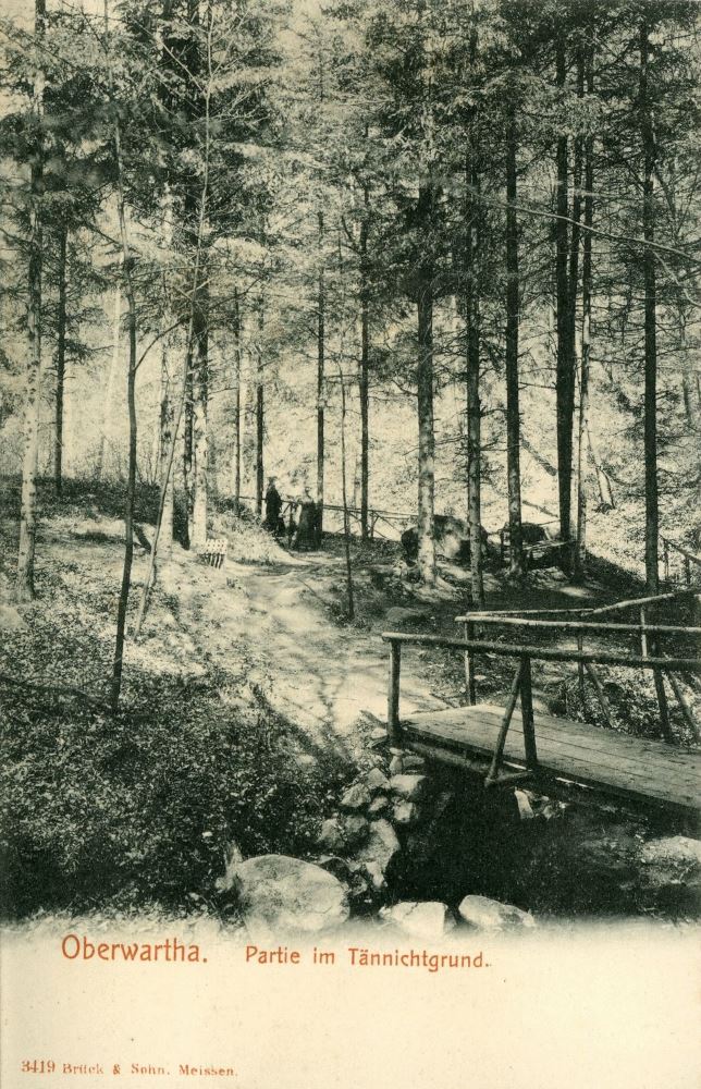 Tännichtgrund