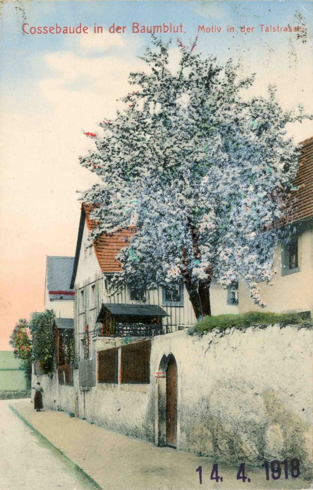 Talstraße 19