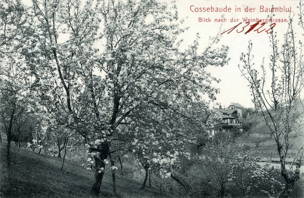 Weinbergstraße