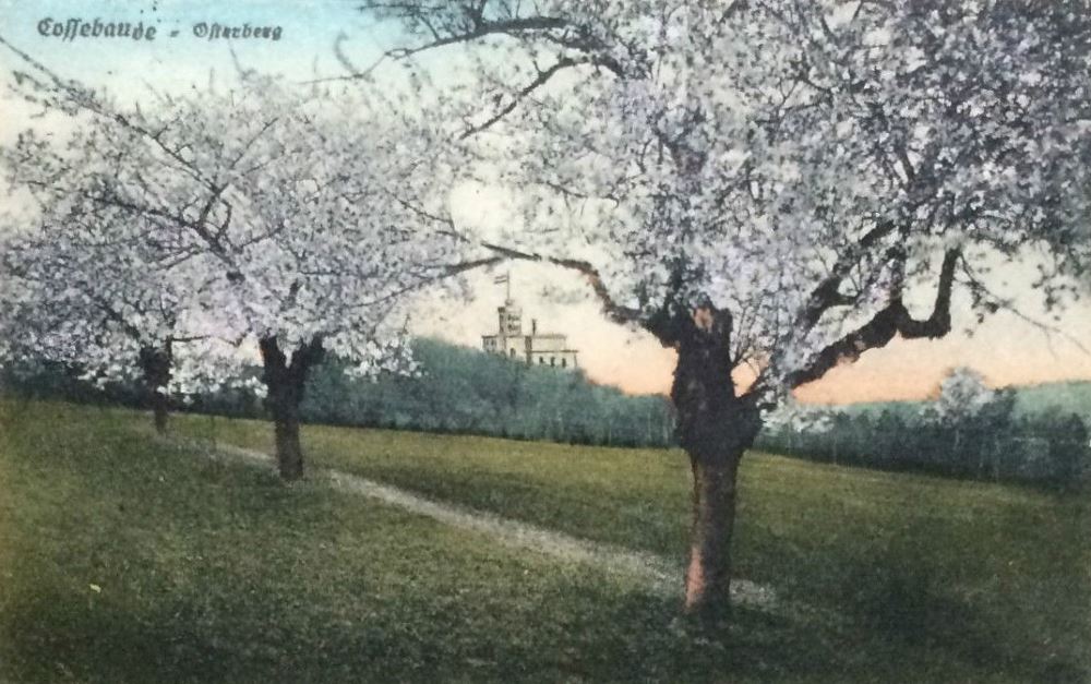 Zum Amselgrund