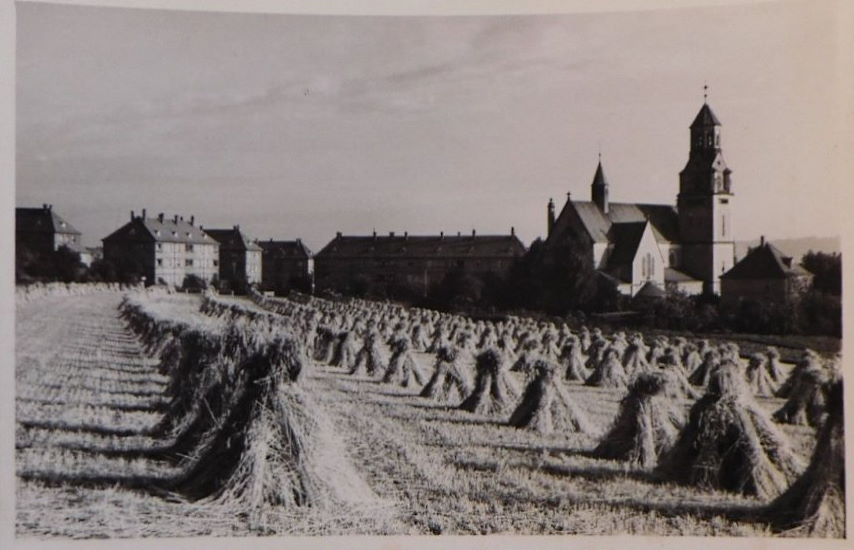 Gottfried-Keller-Straße 50