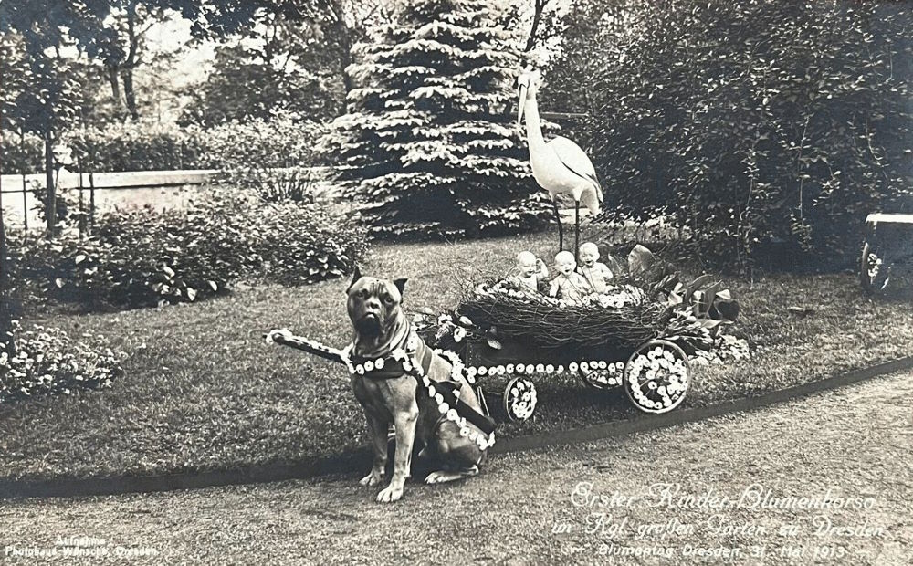 1913 Blumentag