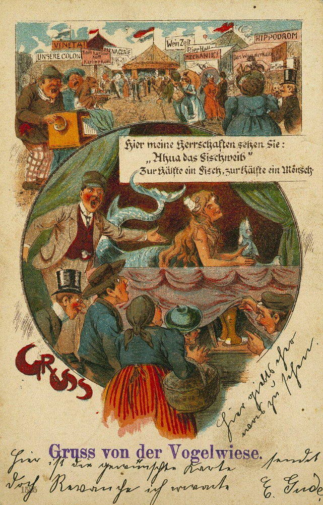 Gruß von der Vogelwiese - Karikatur