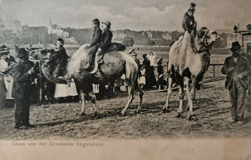 Vogelwiese