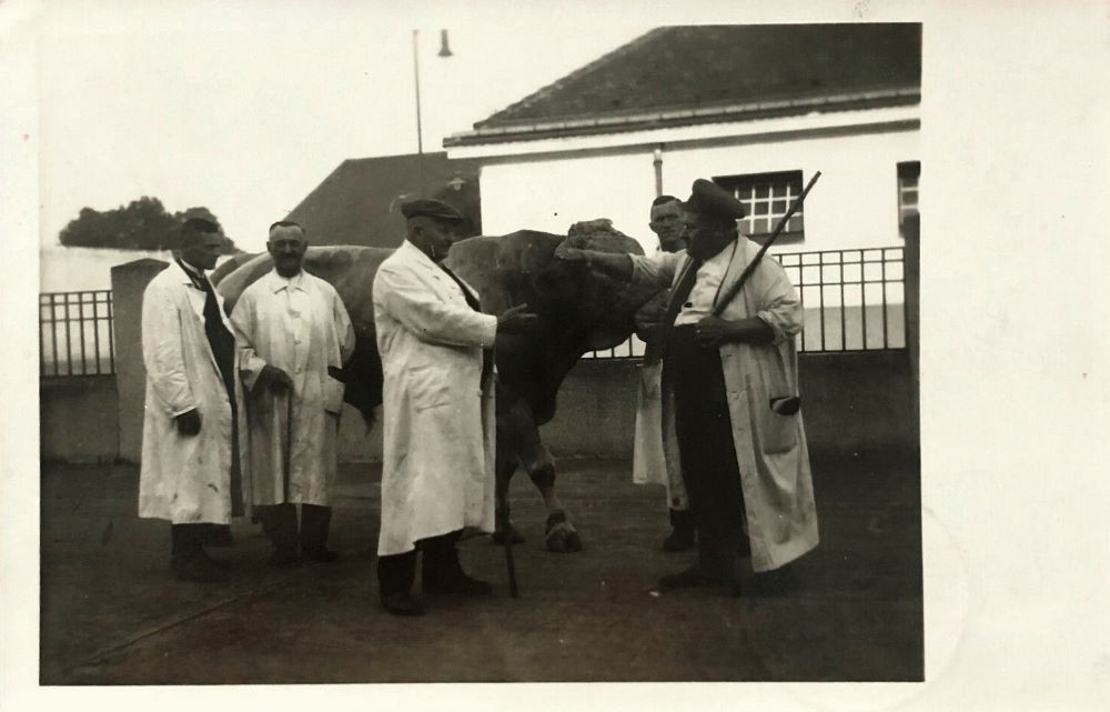 Messering (Schlachthofring)