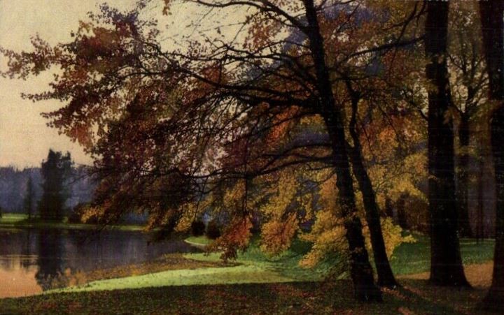 Großer Garten