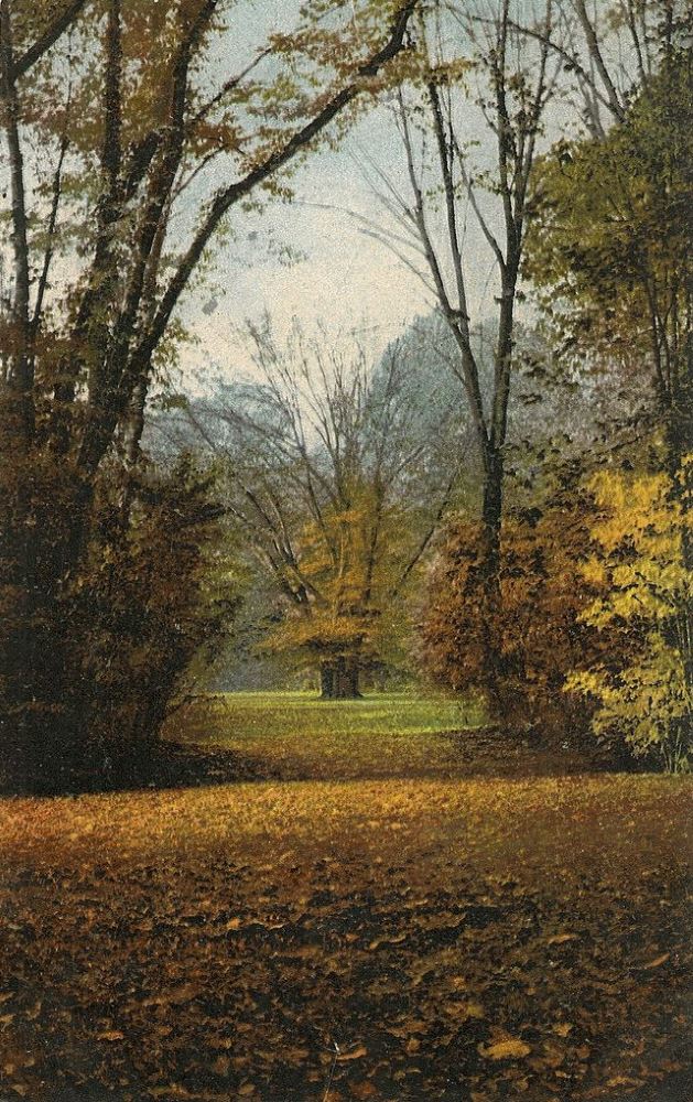 Großer Garten