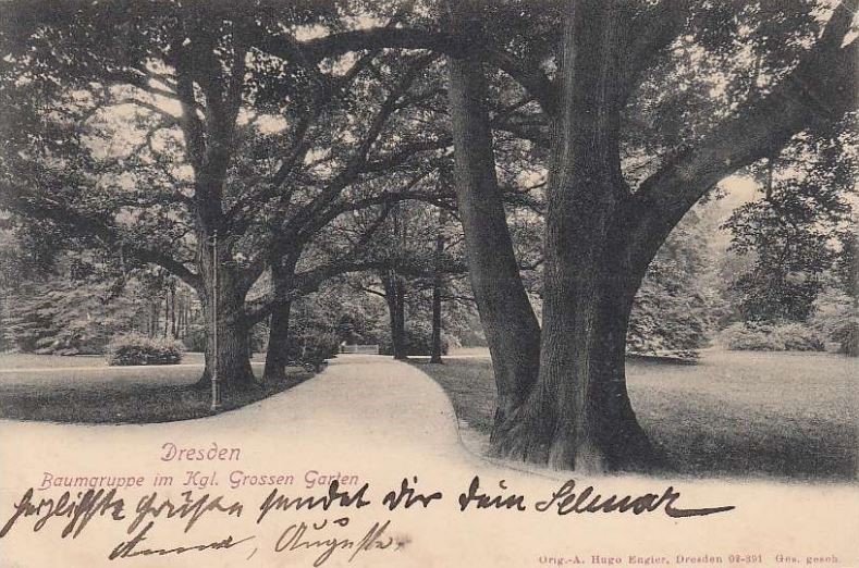 Großer Garten
