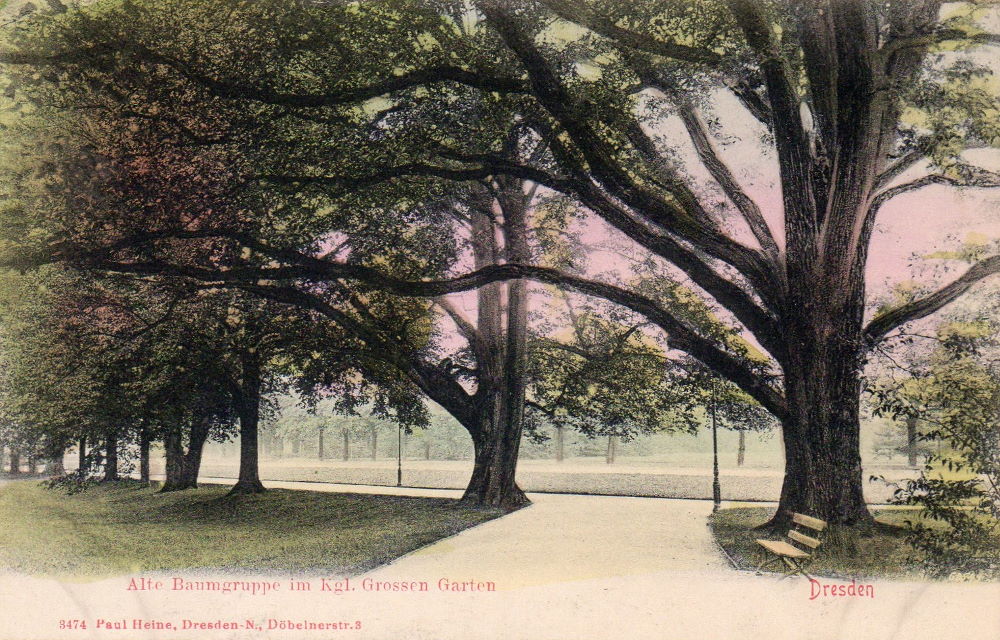 Großer Garten