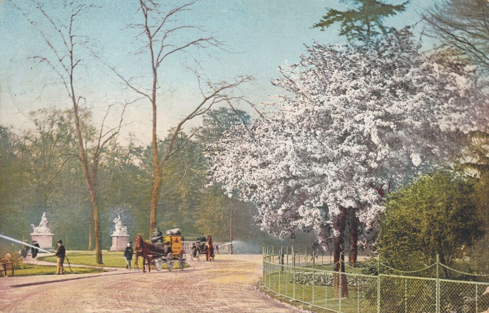 Großer Garten
