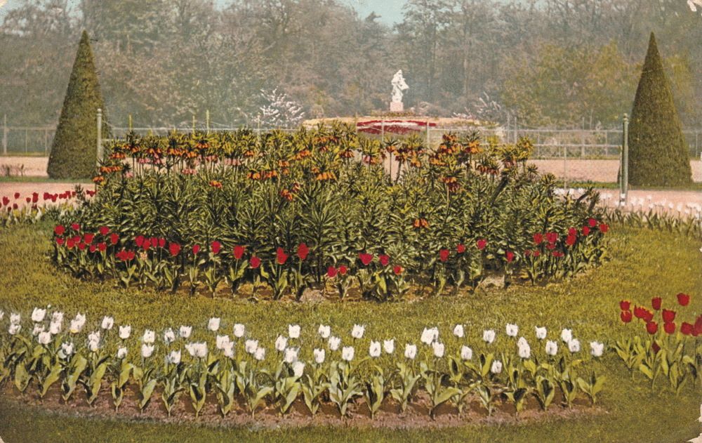 Großer Garten