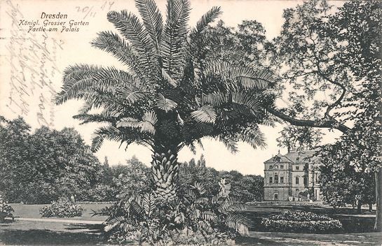Großer Garten