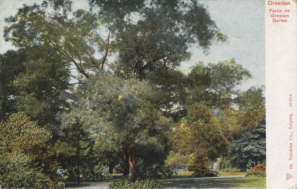 Großer Garten