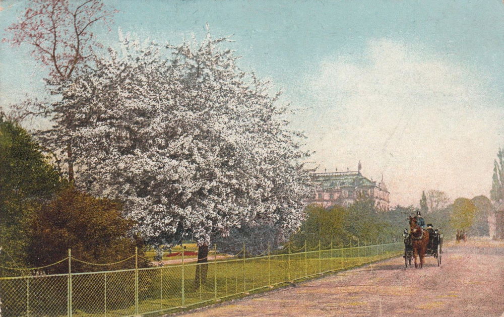 Großer Garten