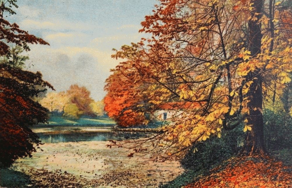 Großer Garten