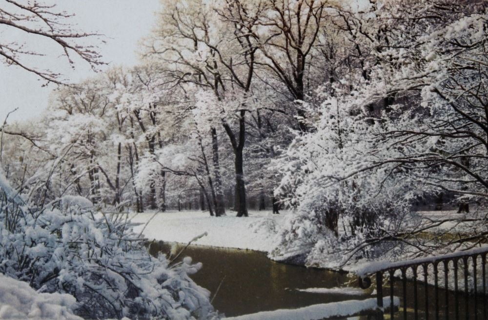 Großer Garten