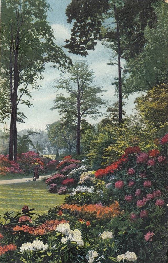 Großer Garten