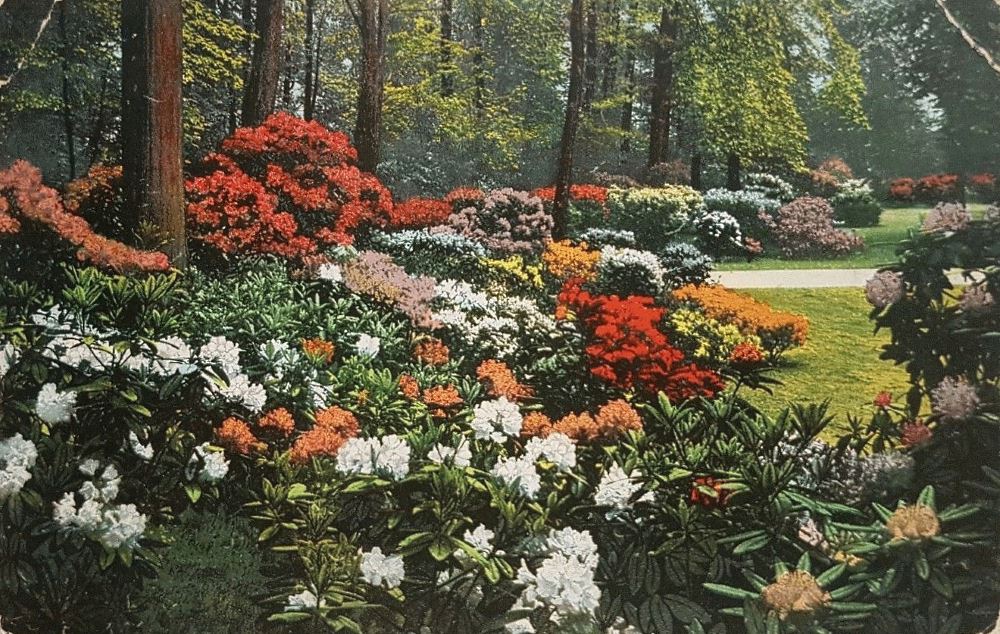 Großer Garten