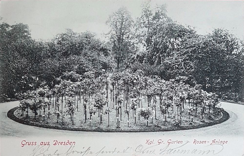 Großer Garten