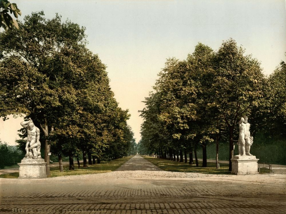 Herkulesallee