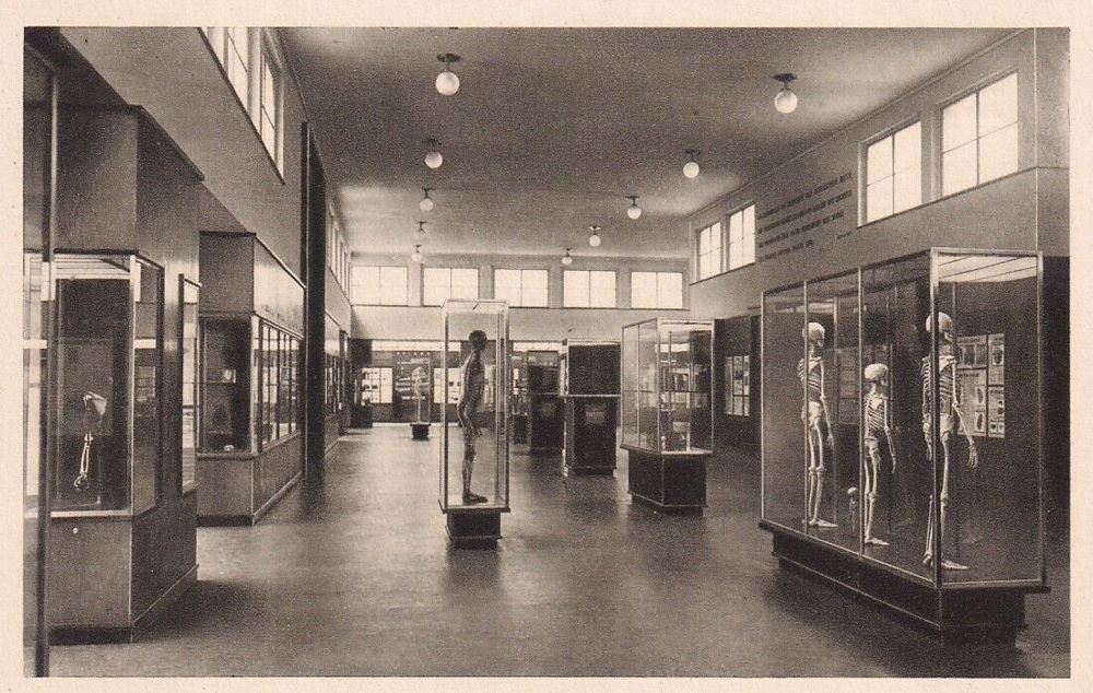 Lingnerplatz 1