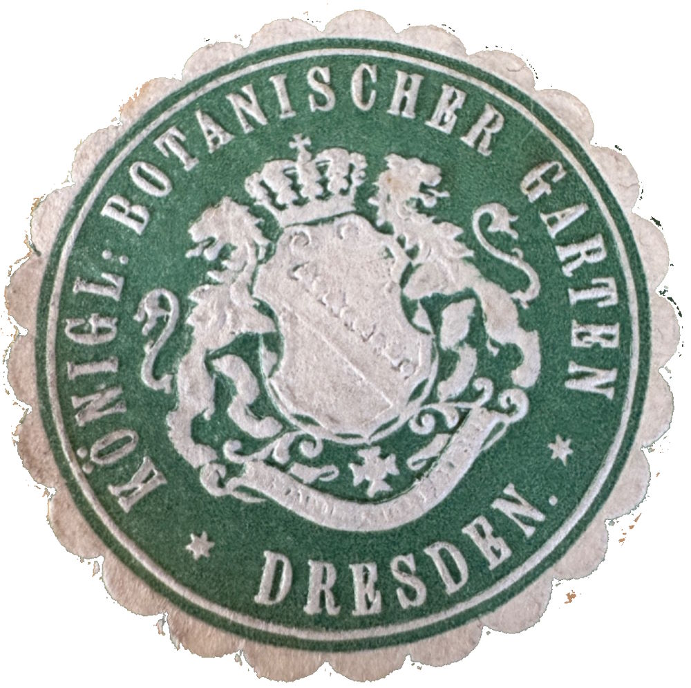 Stübelallee 2