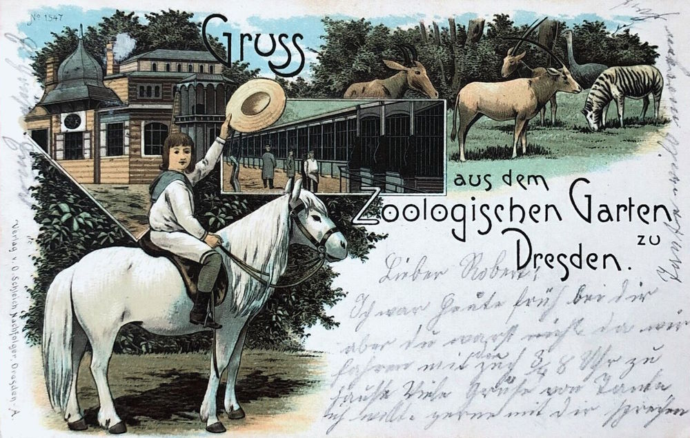 Zoologischer Garten