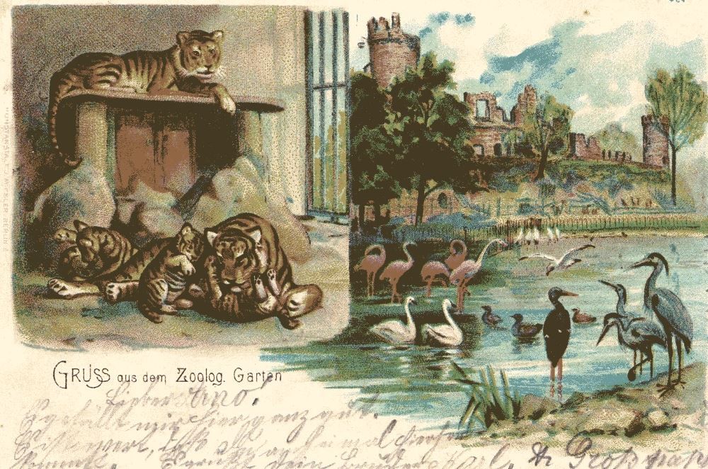 Zoologischer Garten