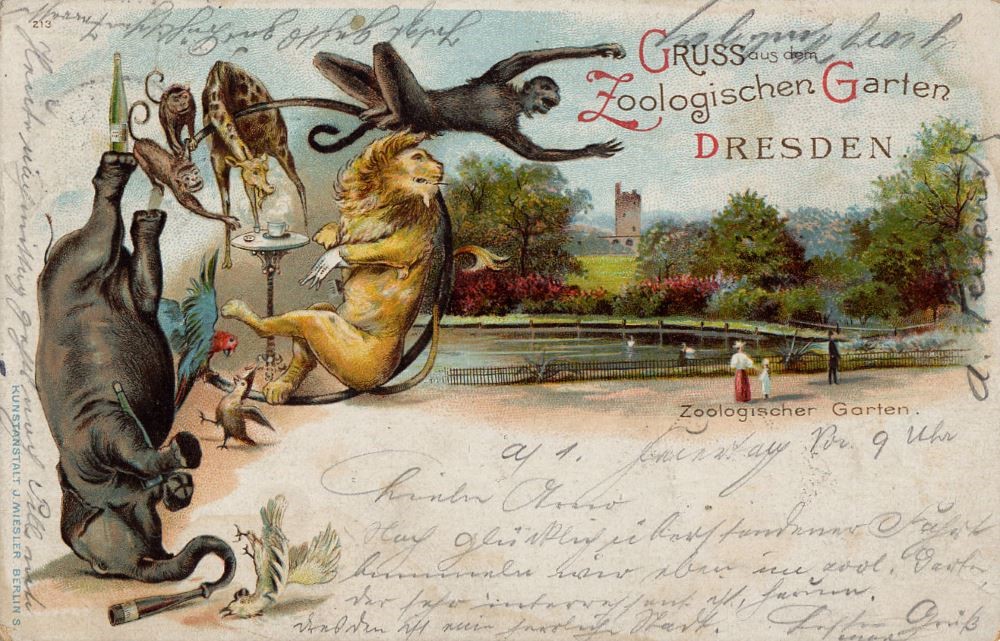 Zoologischer Garten