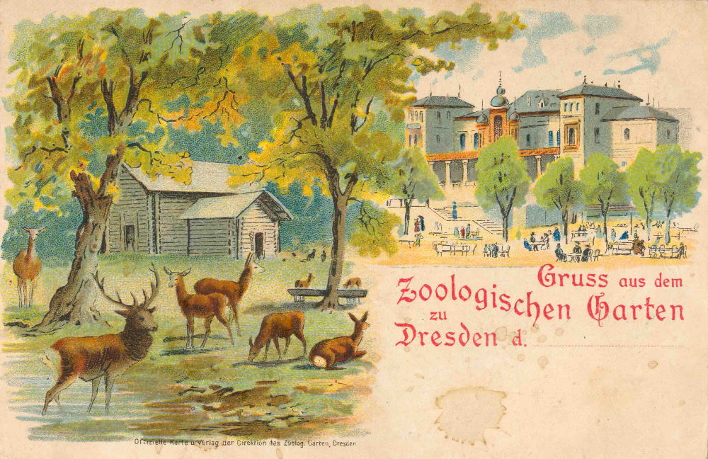 Zoologischer Garten