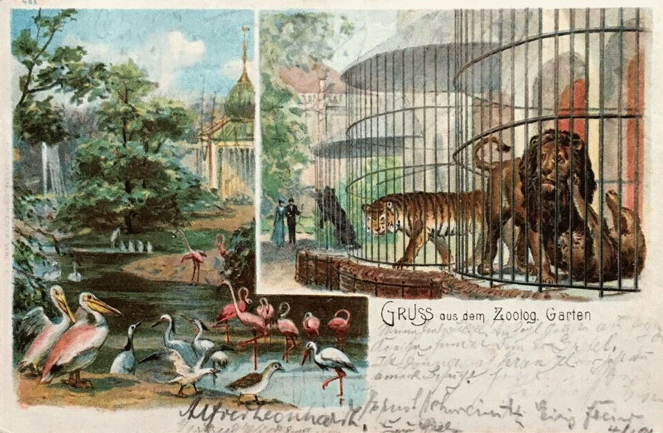 Zoologischer Garten