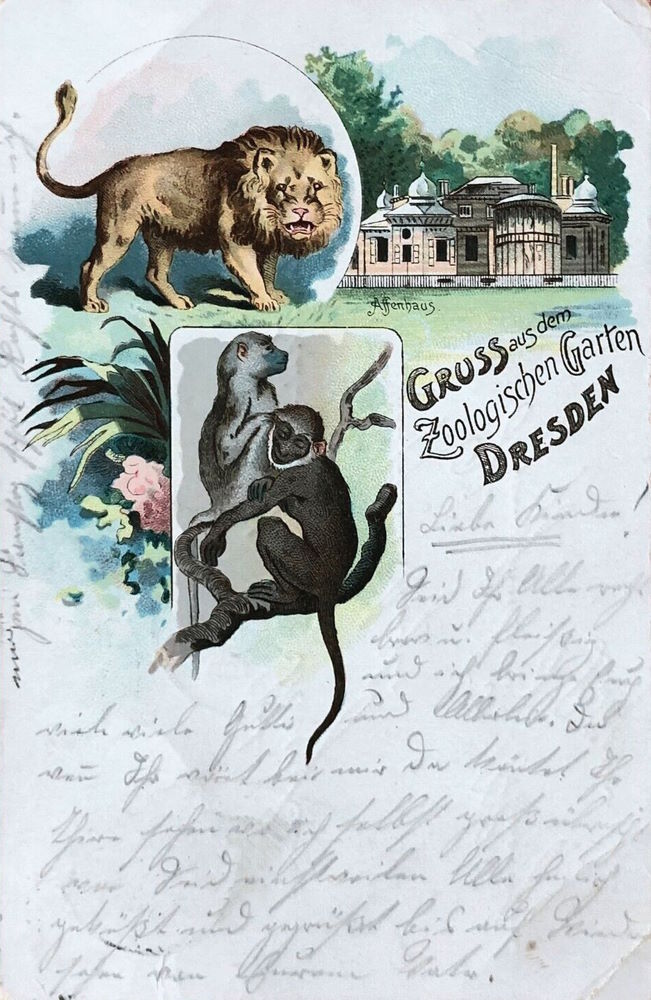 Zoologischer Garten
